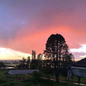 Meet your Posher, Peyton